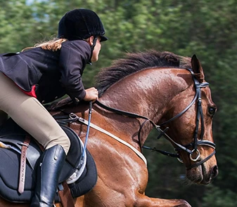 110 Estelle Keller vue de dos sur son cheval lors d’un concours de saut d’obstacles